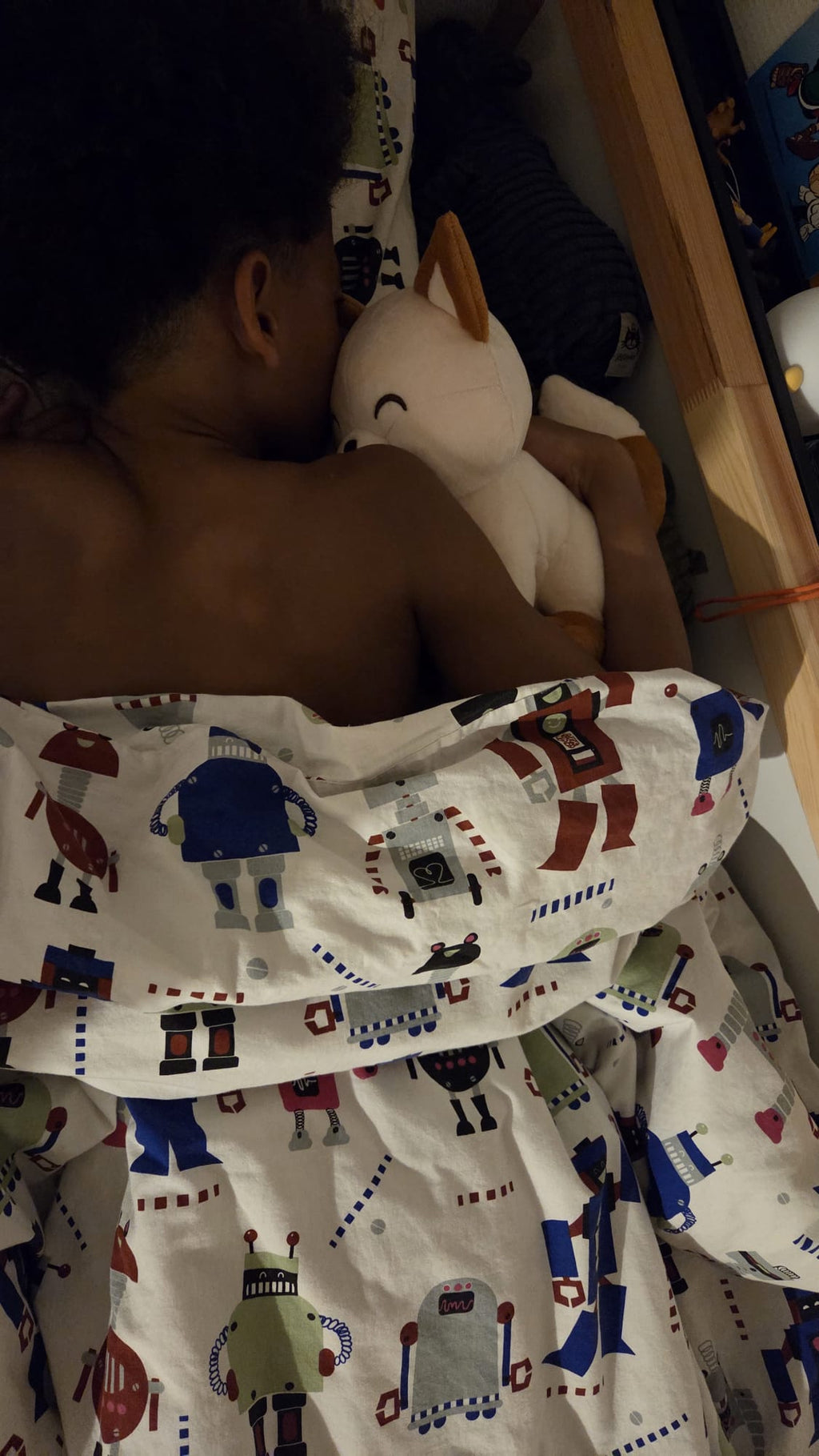 Moka — Peluche renard assise 25 cm